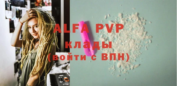 молекула духа Ладушкин