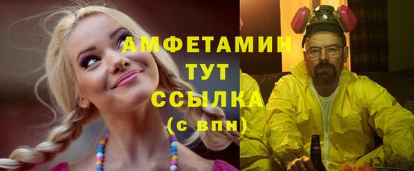 молекула духа Ладушкин