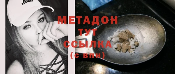 молекула духа Ладушкин
