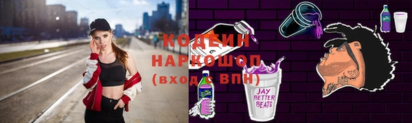 молекула духа Ладушкин