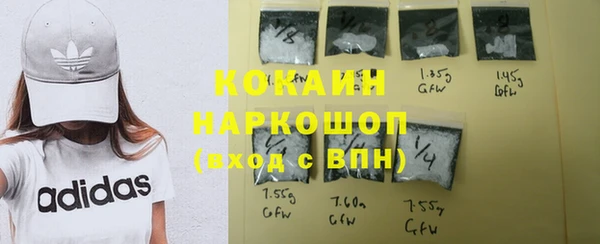 молекула духа Ладушкин