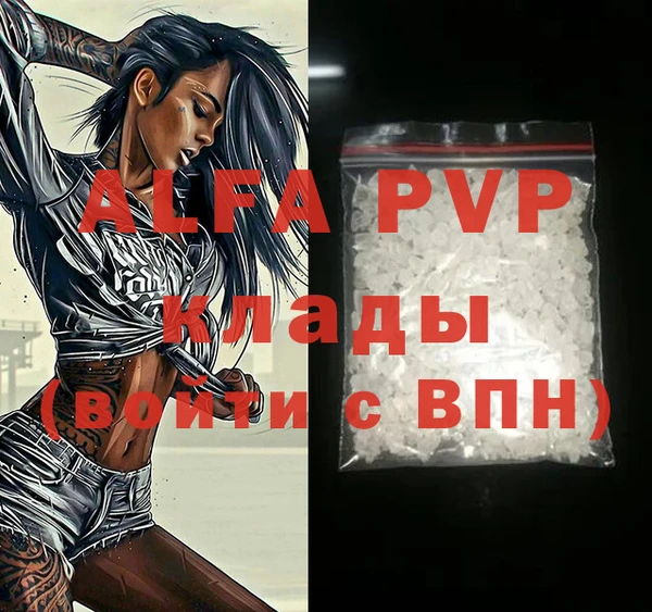молекула духа Ладушкин