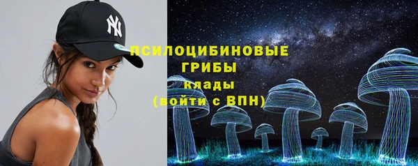 прущая мука Ессентукская