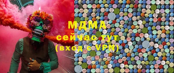 молекула духа Ладушкин