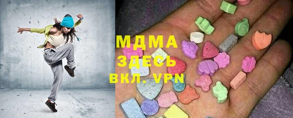молекула духа Ладушкин
